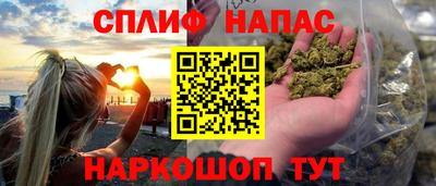 мдпв Пенза