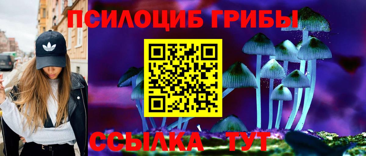 Санкт-Петербург  Псилоцибиновые грибы ЛСД  Вход с VPN 