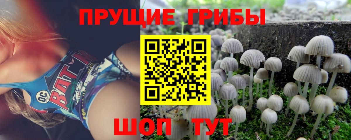 Галлюциногенные грибы GOLDEN TEACHER Санкт-Петербург